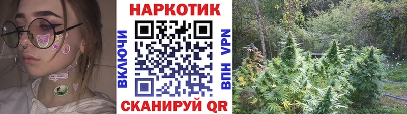 Магазины продажи наркотиков Суджа МЕГА как зайти Меф Канабис Альфа ПВП