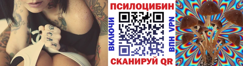 гидра сайт  Суджа  Псилоцибиновые грибы ЛСД 